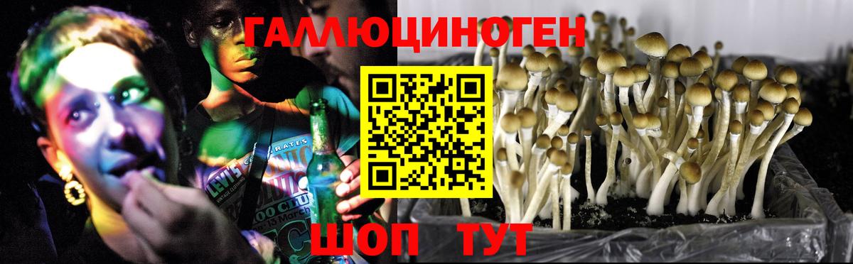 Галлюциногенные грибы мухоморы Рыбинск